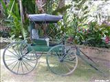 Jardín Botánico de Caguas - CAGUAS